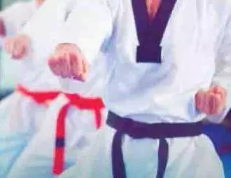 MartialArtsArea